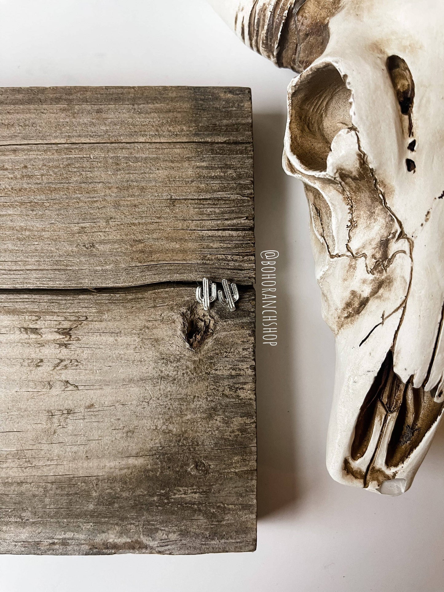 Mini Cactus Earrings