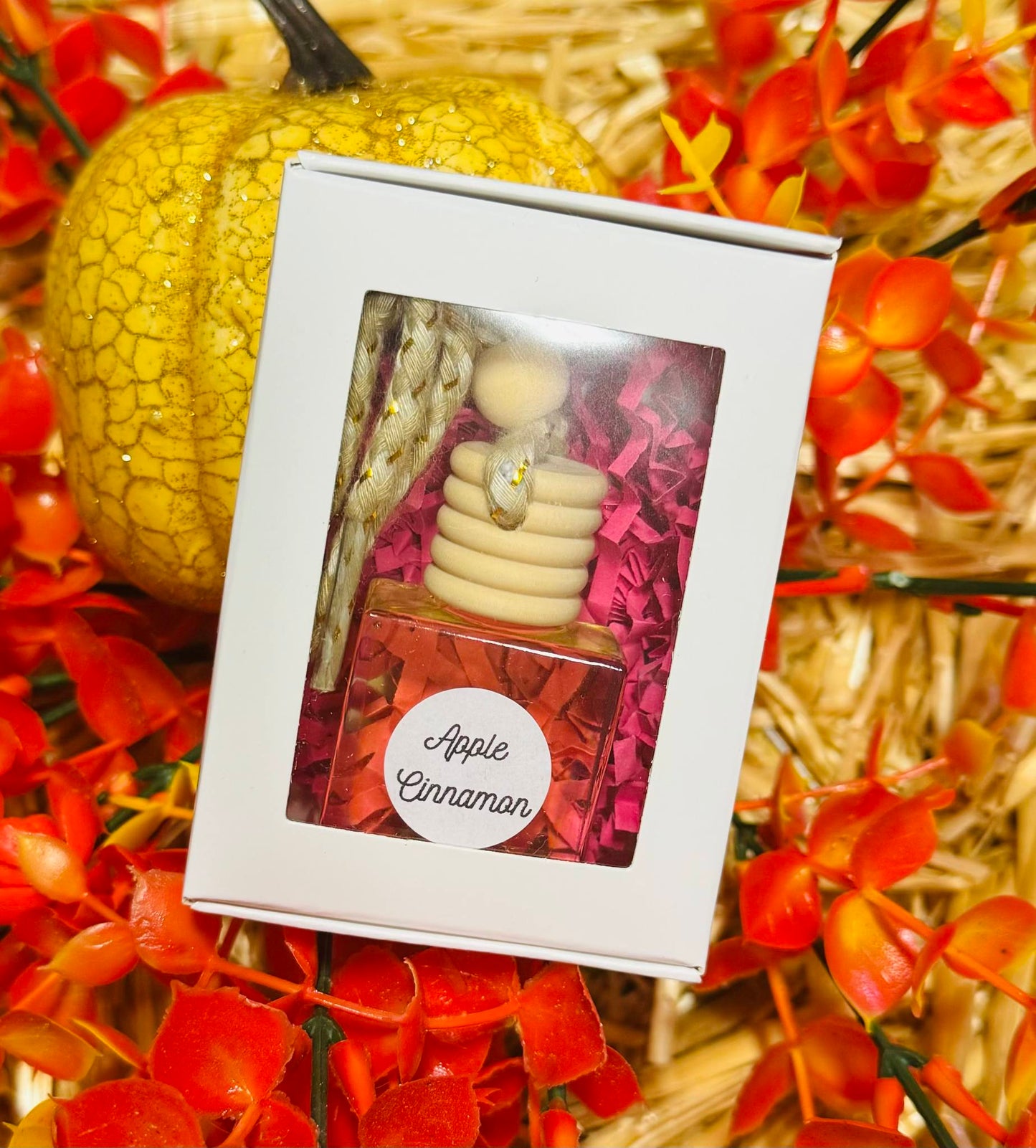 Car Apple Cinnamon Diffuser