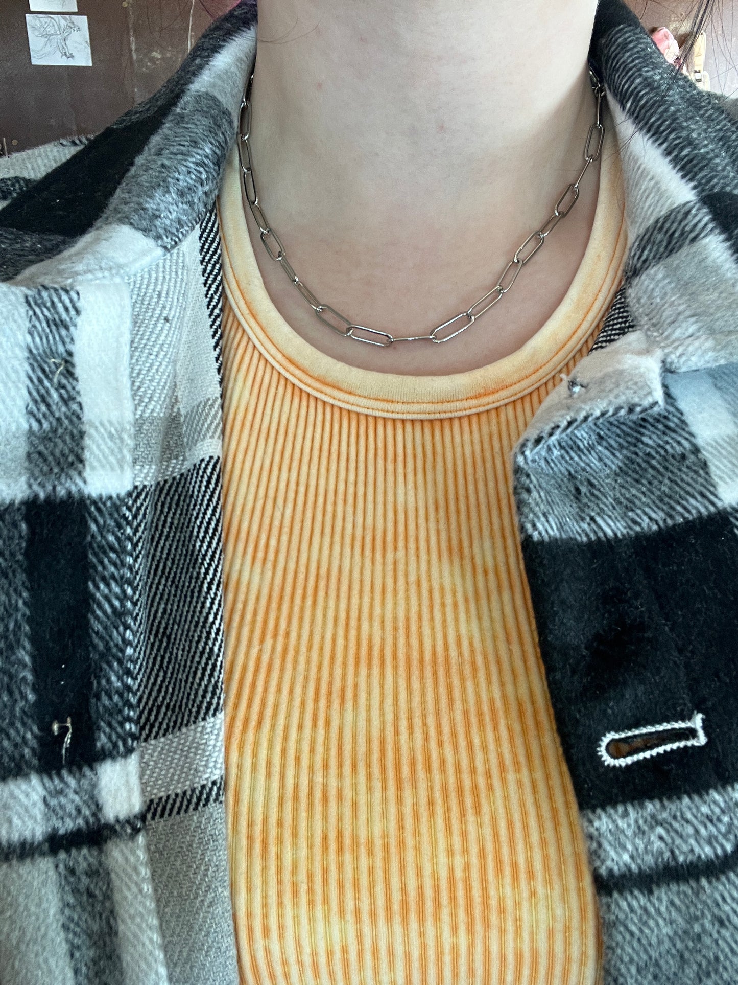 Silver Chain Choker