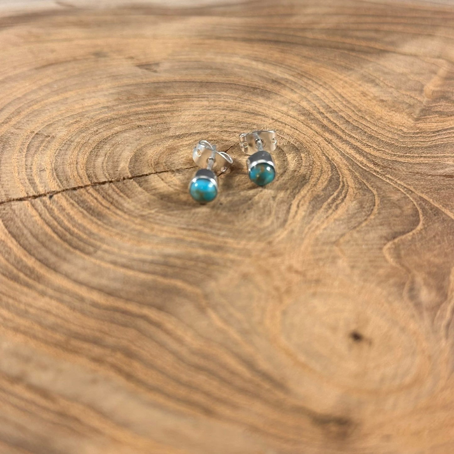 Turq + SS Studs - T1519-TQ
