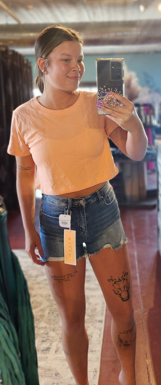 Lindsey High Rise Shorts