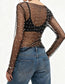 Pearl Rhinestone Studded Mesh Crop Top
