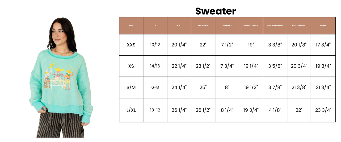 3 AMIGOS Pullover