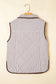 PRETTY BASH - Stripe Contrast Trim Snap Button Collared Vest: Brown Stripe / S