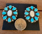 Mother of Pearl + Sleeping Beauty Earrings