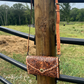 Countryside Co. - Stampede Double Horseshoe Tooled Leather Purse Crossbody