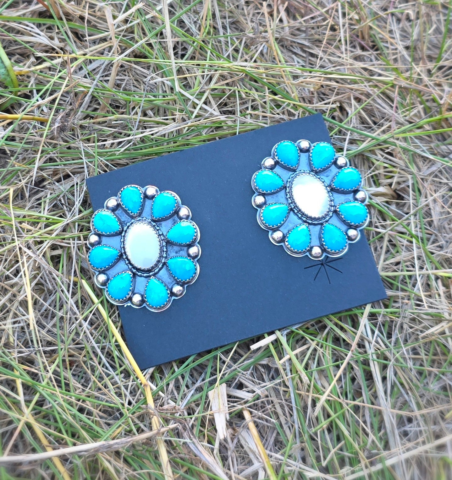 Mother of Pearl + Sleeping Beauty Earrings