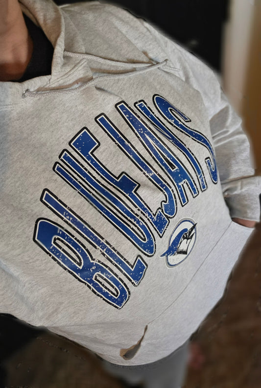 Varsity Blue Jay Hoodie