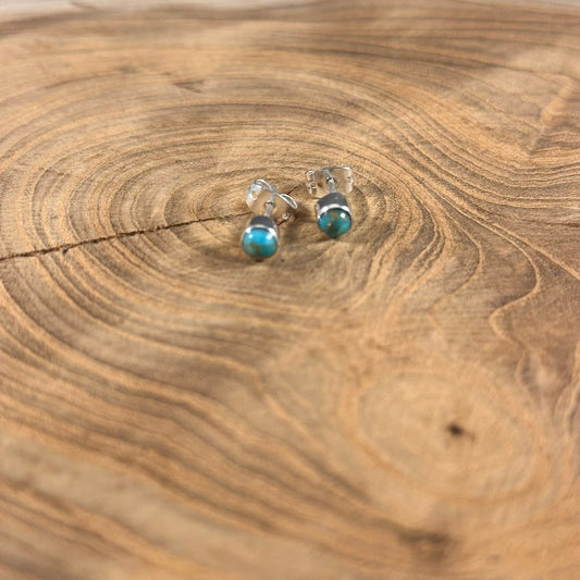 Turq + SS Studs - T1519-TQ