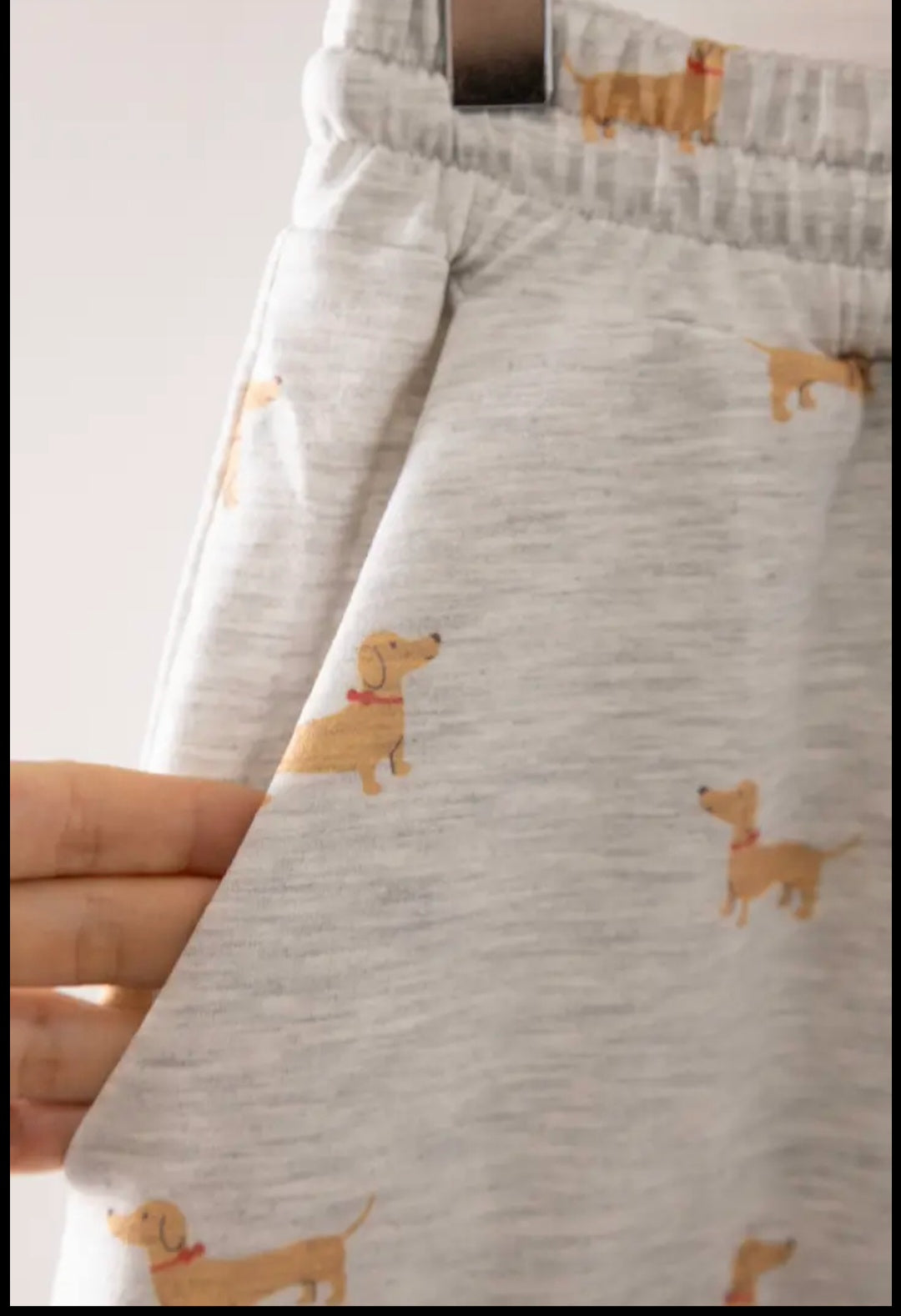 Dachshund Sweatshirt + Wide Leg Pant Set