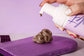Ultra Violet Self Tanner