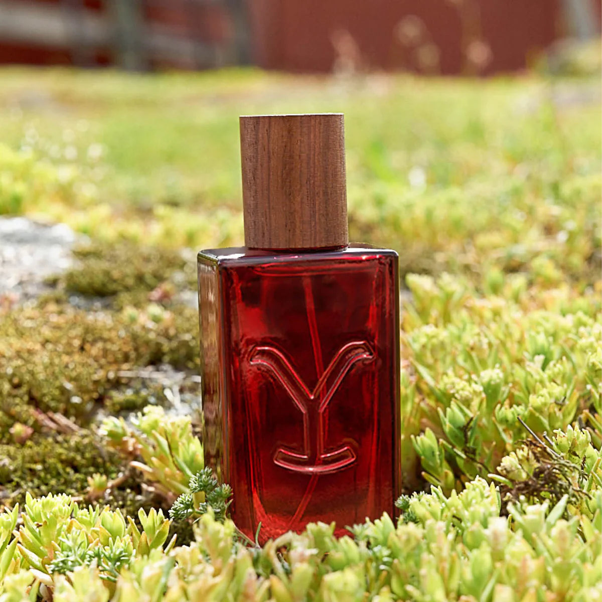 Yellostone Tornado Perfume